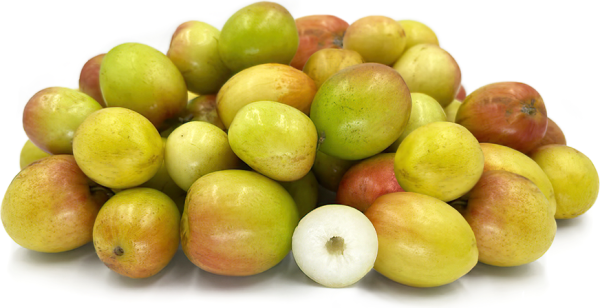 Ber (Jujube) | Premium Bulk Supply from Pakistan