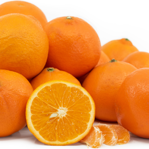 Fresh Pakistani Citrus Fruits | High-Volume Export Supply