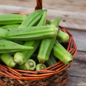 Okra lady finger