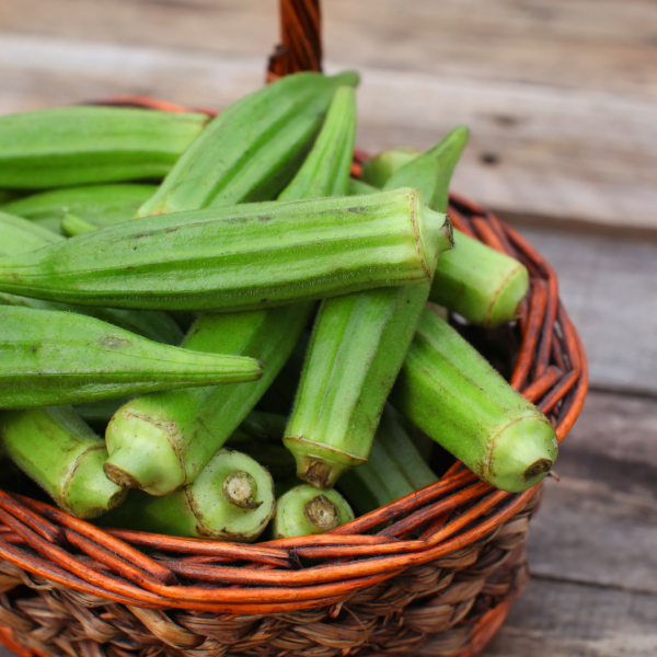 Okra lady finger