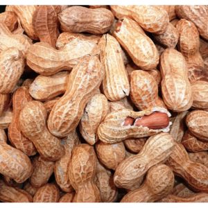 Roasted Peanuts with Shells