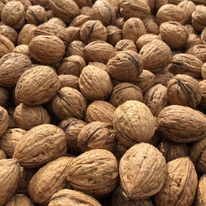 Wholesale Walnuts with Shells