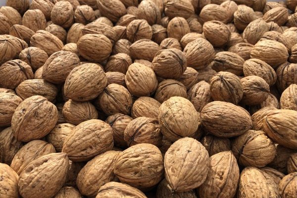 Wholesale Walnuts with Shells