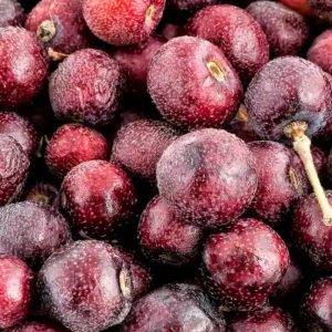 Falsa Fruit | International B2B Export from Pakistan