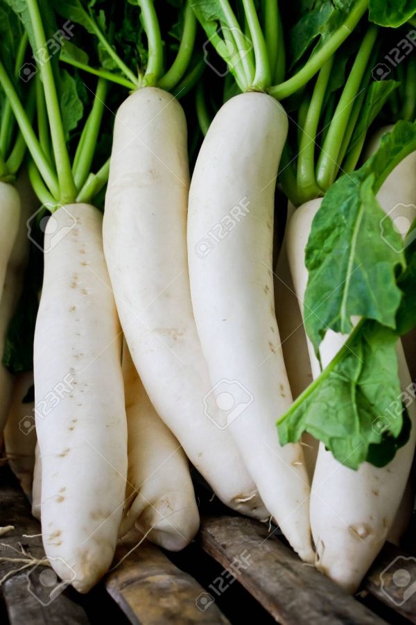 white radish