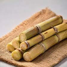 Pakistani Sugarcane | Reliable Wholesale Global Supply